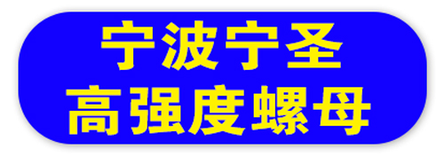 宁波宁圣高强度螺母