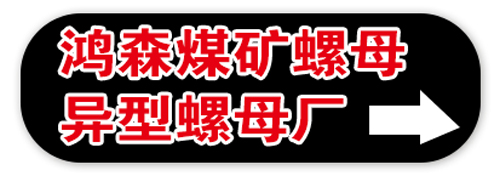 邯郸市鸿森煤矿螺母 异型螺母厂