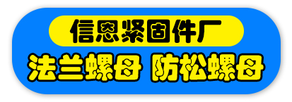 信恩 法兰螺母 防松螺母