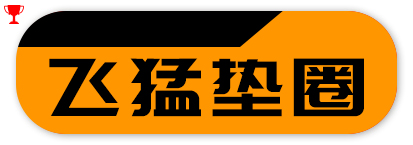 飞猛垫圈